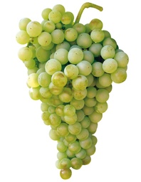 UVA BLANCA AGROECOLOGICA  500 gr
