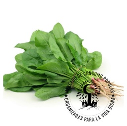 Espinaca agroecologico - Precio x unidad - Prod. 1610